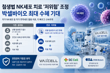 첨생법 NK세포 치료 ‘저위험’ 조정…박셀바이오 최대 수혜 기대