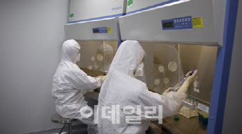 Vaxcell, Biggest Beneficiary of Regenerative Medicine Reform[K-Bio Pulse]
