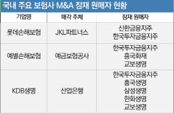 [마켓인]공적자금이 만든 가수요?…보험 M&A, 흥행 뒤 숨은 셈법