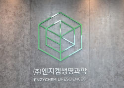 '거래정지' 엔지켐, 부동산 신사업·대표집행임원제 놓고 '격돌'