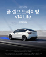 테슬라, 국내 'FSD v14 라이트' 도입…미국산 모델3·Y 대상