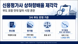 [단독]금감원 보는 신평사 상하향배율 기준 ‘제각각’…부도 놓고 고무줄 잣대