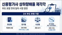 [단독]금감원 보는 신평사 상하향배율 기준 ‘제각각’…부도 놓고 고무줄 잣대