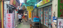 개식용 종식 앞둔 마지막 초복…간판 떼는 보신탕, 흑염소집 꿰찬다