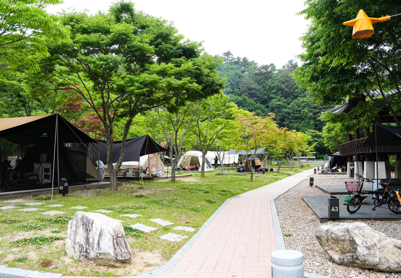 영양 국제밤하늘보호공원, 여름 휴양객 30% 급증 비결은?