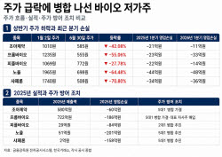 한여름에도 얼어붙은 ‘바이오 동전주’의 생존 셈법