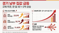 한 달 새 1~2억은 우습게 올라…규제 확대에도 경기 남부 집값 더 오르네
