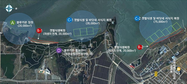 충남 '서천 갯벌' 블루카본 생택복원에 민관 협력