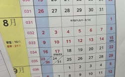 '역대급 휴가' 광복절 연휴까지 17일 쉬는 이 회사