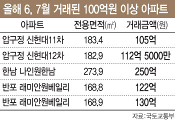 증세 앞에 멈춰선 30억 부동산 시장…갈 길 가는 100억 ‘그사세’ 아파트