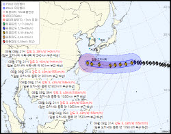 태풍 '돌핀'이 키운 폭염…수도권도 비상