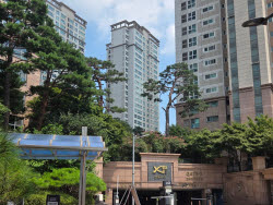 월세 매물 거둔 집주인 “내가 살겠다”…마용성 갈아타기 저울질도