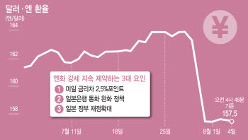 美, 엔화 구하기에도…시장선 “강세 오래 지속 어렵다"
