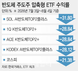 삼전닉스 샛길 탔는데 -30%…개미들 비명 터졌다