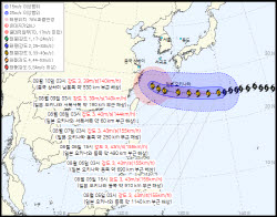 "태풍 '돌핀', 방향 꺾는다"...사자 죽은 도쿄, 갑자기 가을