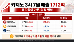 외국인 카지노 3사 7월 매출 1712억…드롭액보다 더 늘었다