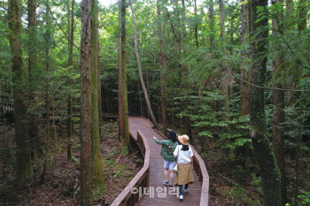 기린빌라리조트, '가을 트래킹 패키지' 론칭