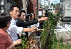 [포토] 서계·청파동 정비사업 현장 찾은 오세훈 시장                                                                                                                                                      