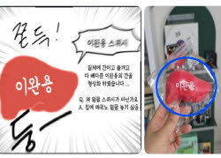 “이완용 간땡이 스퀴시”…광복절 ‘매국노 조롱잔치' 열린다