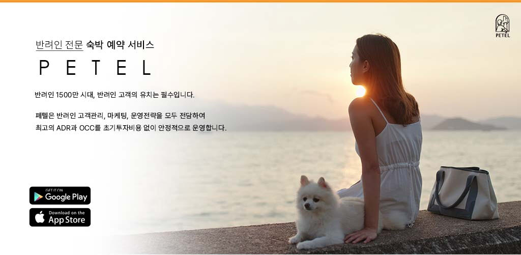 플랫폼 넘어 호텔·기념품으로…부산 관광 스타트업 ‘몸집 키우기’
