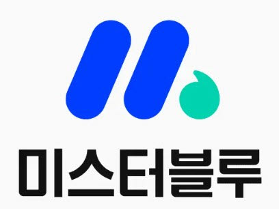 미스터블루, 상반기 영업익·순익 흑자전환…합병 효과 본격화