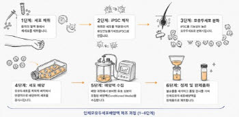 메디포스트, 큐스템과 모유두세포배양액 CDMO 계약…대량생산 지원