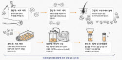 메디포스트, 큐스템과 모유두세포배양액 CDMO 계약…대량생산 지원