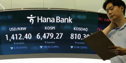 삼전닉스 7~9% 급락에도 개인 4.4조 '사자'…외인·기관은 '팔자'