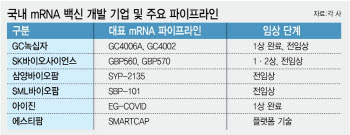 모더나 주가 177% 띄운 암백신에 ‘mRNA’ 주목…K바이오도 수혜 입을까