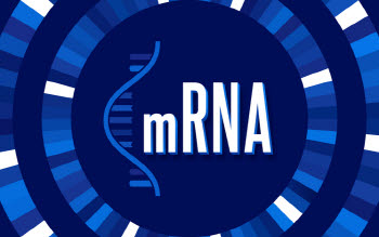 암 치료제 맞춤형 mRNA 시대 열리나...업계 ‘들썩’[클릭, 글로벌 제약·바이오]
