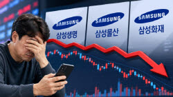 "110조 돈잔치 글쎄요" 실망한 개미…삼전 동생들 '털썩'