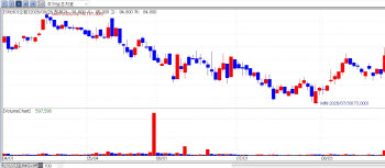 SK Biopharm Rallies on Opakalim Bet; Xcell Hits Upper Limit Intraday[K-Bio Pulse]