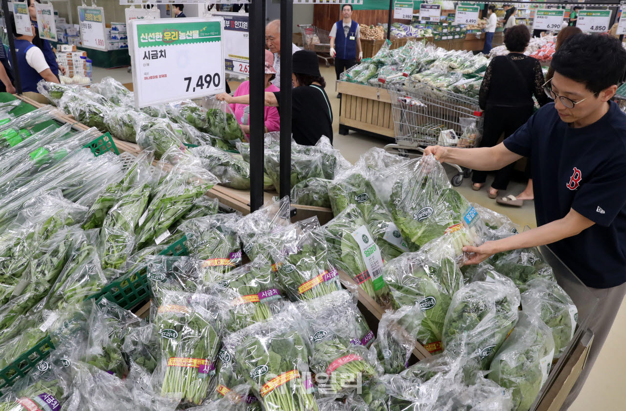[포토] 시금치, 전월대비 62.8% 가격 올라...
