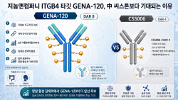 지놈앤컴퍼니 GENA-120, 中 씨스톤 넘어 기술이전 기대감↑