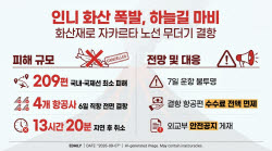 인니 화산 폭발에 자카르타 하늘길 마비… 韓 국적기 ‘올스톱’