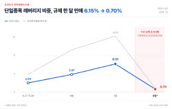 삼전·하이닉스 레버리지 탄 개미 계좌 30% 손실