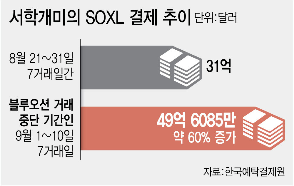 [단독]서학개미 ‘레버리지 사랑’에…美 거래 막던 ‘5% 빗장’ 풀렸다