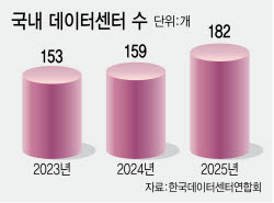 당장 수익보다 향후 가치 투자…데이터센터 PF에 몰리는 돈