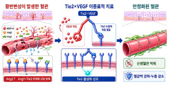 “VEGF 차단 넘어 혈관 정상화”…인제니아·큐라클, 황반변성 TIE2 경쟁
