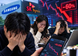 "하루 -60% 폭락" 섬뜩한 경고도…늪 빠진 삼전닉스 단종레 개미