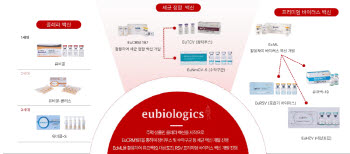 '장티푸스 200억-·수막구균 1000억'…유바이오로직스, ‘포스트 콜레라 캐시카우’ 시동