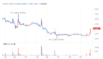 AriBio Holdings Hits Lower Limit After Scrapping Merger With AriBio [K-bio bulse]
