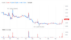 AriBio Holdings Hits Lower Limit After Scrapping Merger With AriBio [K-bio bulse]