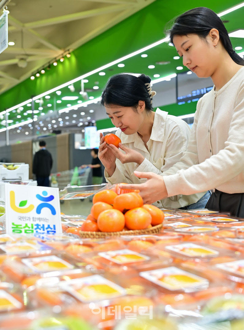[포토] 농협유통, 가을 제철 과일 '청도반시' 출시