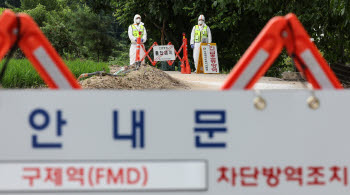 경북 예천 소 농장서 구제역 추가 확인…전국 일주일 집중 소독