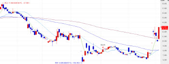 ‘Rivoceranib Hopes’ Lift HLB Affiliates; Samchundang Rises 5th Day[K-Bio Pulse]