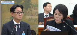 "네이버 댓글 없애면 안 되나"…국감서 정치뉴스 댓글 개편 촉구