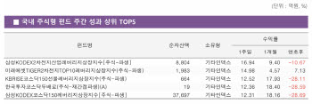 ‘삼전닉스’ 쉬어가자…2차전지·코스닥 ETF 수익률 10%대 질주[펀드와치]