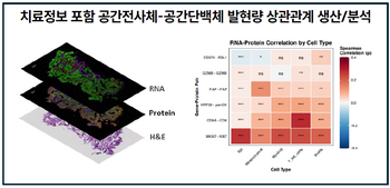 지니너스, AI가 찾은 항암 신약 타깃 실험 검증 돌입…'기술이전 기반 다진다'