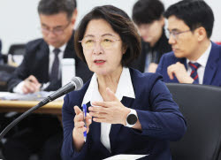 추미애 "경기북부특별자치도, 자연적으로 소멸할 것"